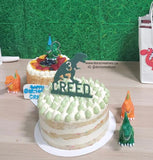 Dinosaur Birthday Personalized Name Cake Topper